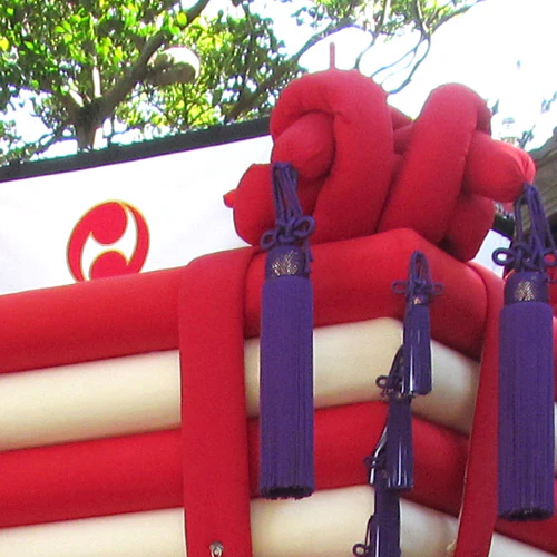 トンボに見るルーツ(2枚目)